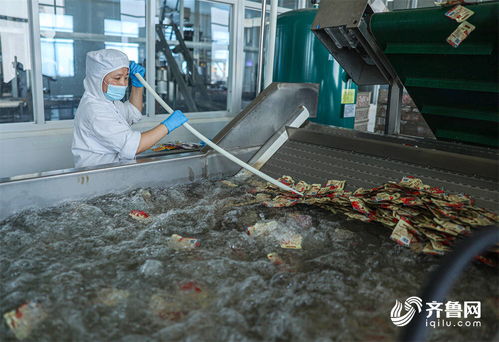 荣成 海洋食品生产加工忙