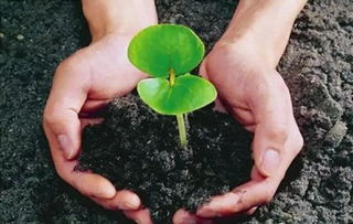 作物全程管理 新朝阳健康植保分享 关于微生物肥料的几个关键问答