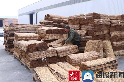 年味里看发展⑨ 立足产业特色 持续做优做强 无棣县水湾镇成为 全国最大的苇帘加工出口基地