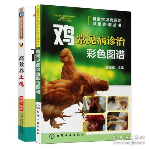 正版 鸡常见病诊治彩色图谱 高效养土鸡视频升级版常见病诊治彩色图谱 养鸡科学养殖技术教程大全土鸡自学入门教程