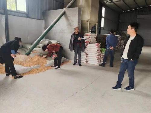 韩城市畜牧中心 落实安全用药技术管控 严把畜禽产品质量安全关 图