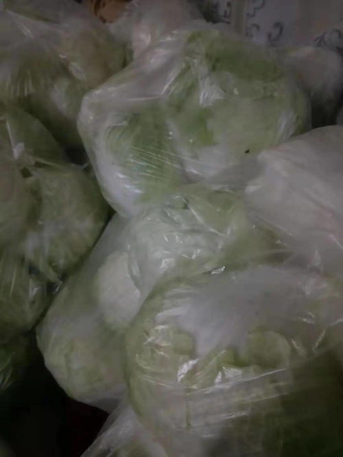 新鲜草莓 香油 白菜 笨鸭子......这些农产品急需收购 丨助农直通车 第二十三期