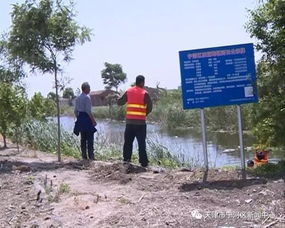 东棘坨镇 王洪深渠生活垃圾 畜禽粪便乱堆乱弃现象得到有效治理