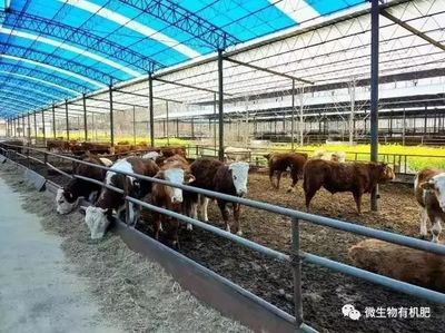 这五类农业废弃物有望变废为宝!_财经_网