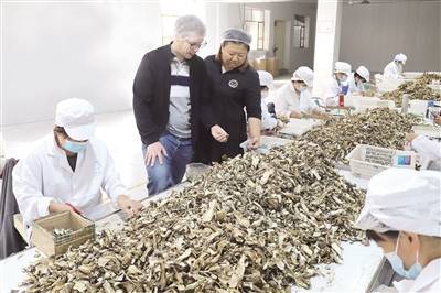 扎兰屯市 擦亮品牌做大产业 赋能野生菌出口