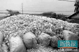 广东揭西10吨未经处理医疗垃圾藏于深山老林