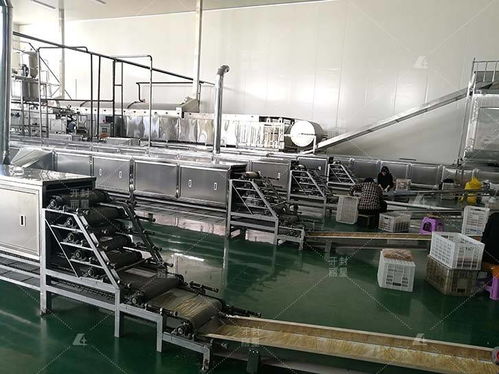 选购自动化粉皮机开办粉皮加工厂离不开这三大支持