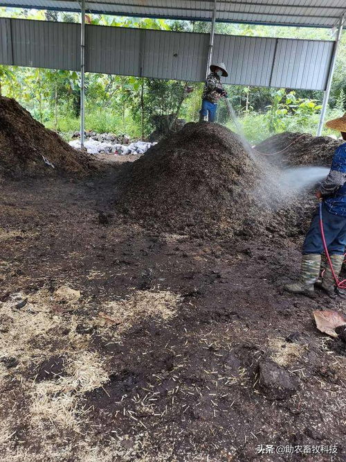 如何将动物粪便快速转化为生物有机肥料