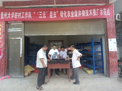 天眼新闻客户端:用好农业废弃物,牵住绿色发展“牛鼻子”--贞丰县持续探索“虫”经济