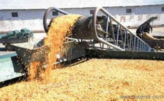 大批量收购大豆 颜杨水产 在线咨询 收购大豆