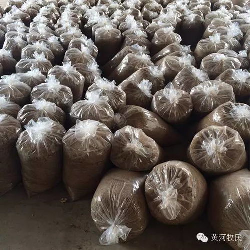 废弃牛奶综合高效利用