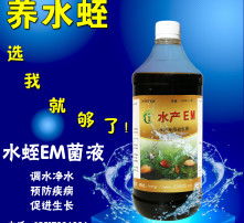 高清图片
