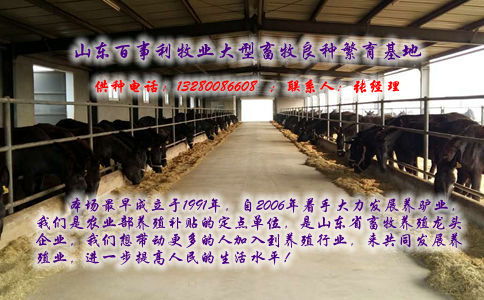 福州肉驴基地 福州三粉驴养殖场