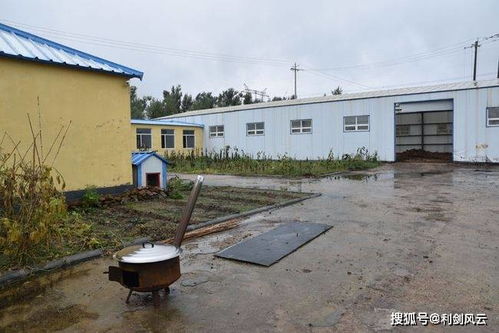 吉林梨树县 环保项目被撂荒 堆肥处理厂变 粪便堆放场
