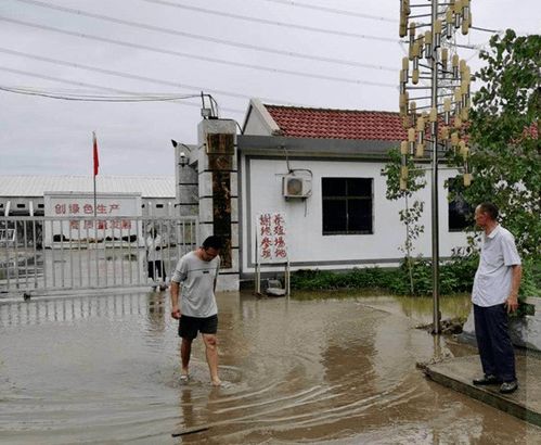 防汛抗灾 区农业农村局 抓好防汛救灾 确保农业丰收