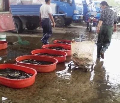 重要 宝应县发改委公布最新价格