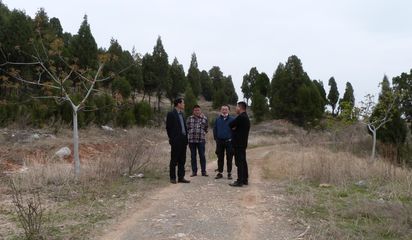 山东第一访谈|济宁名优产品推广协会扎实做好招商引资工作