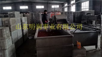 山东新疆和田玉枣批发价格信息