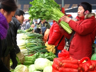 辣椒病虫害防治图谱