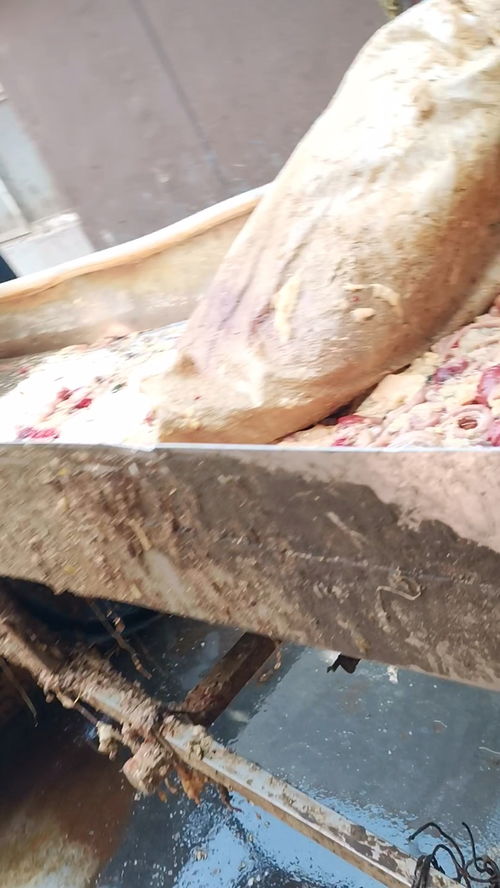 凤祥食品 新冠防控不作为 加工环境脏乱差 从加工到餐桌怎么能健康