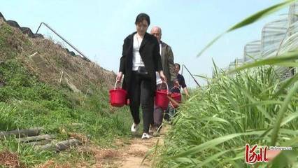 农村财富新视界 多元化收购策略助力农民增收——畜禽粪便加工的绿色转型