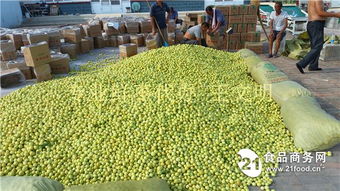 德州鲜枣与畜禽粪便市场行情分析