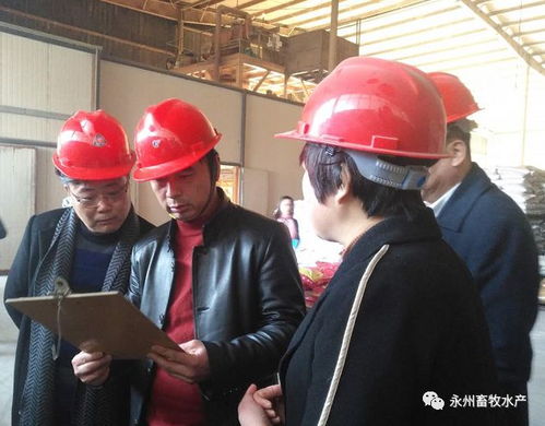 市县区联动,共筑我市畜禽水产品质量安全防线与畜禽粪便资源化利用机制